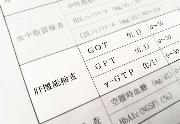 肝臓病|おおくぼ消化器内科クリニック|胃カメラ 大腸カメラ画像